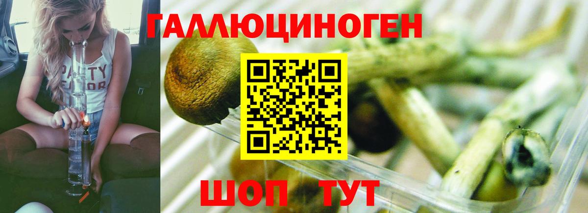 Псилоцибиновые грибы Magic Shrooms Карталы